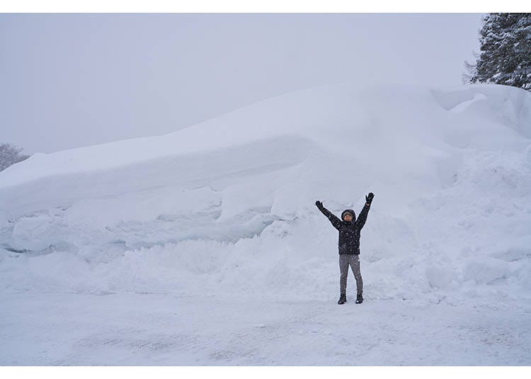 We took this photo in front of the inn the next morning. Just look at that incredible snowfall…