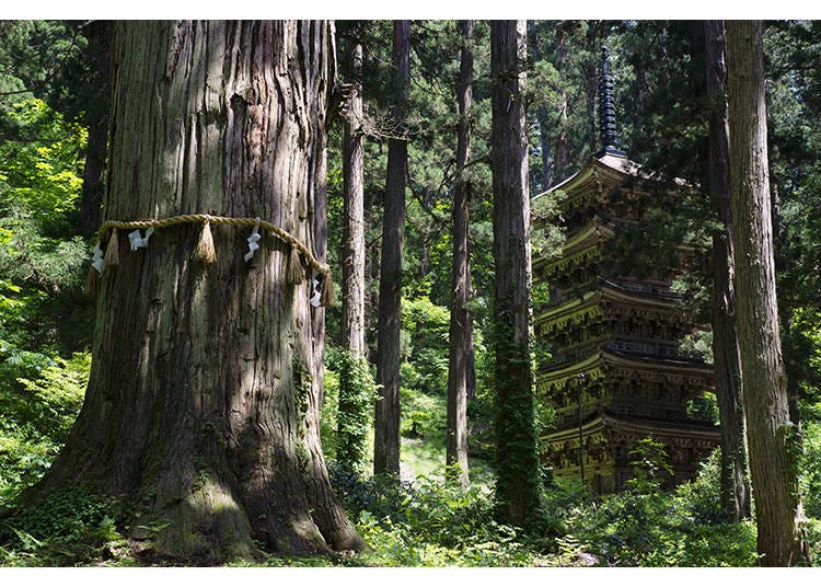 羽黒山のシンボル、国宝「五重塔」。ミシュラングリーンガイド三ツ星（写真提供：山形県）