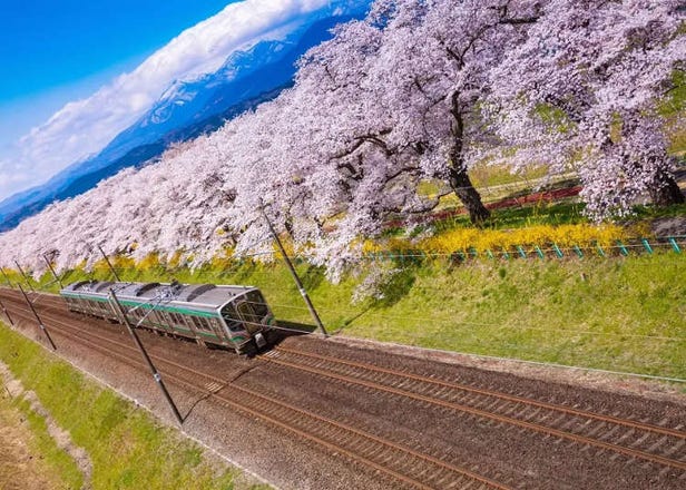 New unlimited-ride JR Japan rail pass is perfect for a laid-back trip in east and northeast Japan