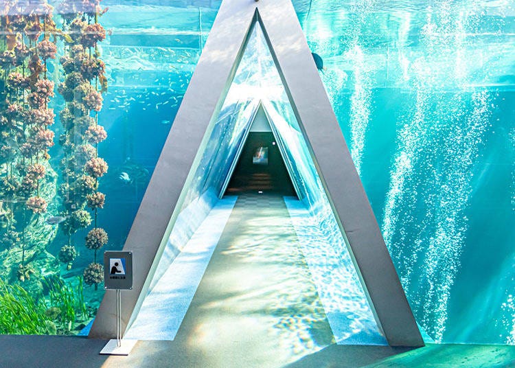 Aquamarine Fukushima stands out both inside and out with its striking glass design. (Faula Photo Works / PIXTA)