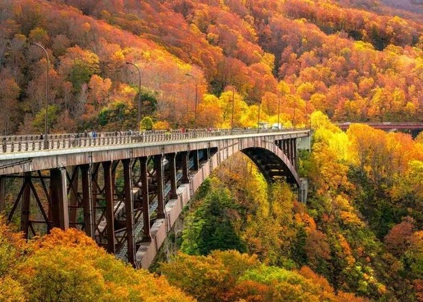 Aomori Autumn Travel Guide: Weather, What to Wear & Where to Go in September–November