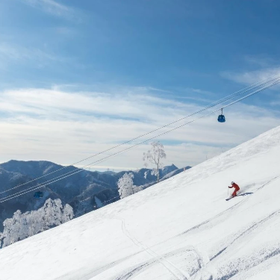 Winter Limited: Yuzawa GALA/Naeba Ski Resort Day Trip (From Tokyo)
Photo: (Klook)