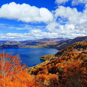 Aomori | Oirase Stream & Shirakami Mountains Private Chartered Day Tour | Customizable Itinerary
Photo: (Klook)