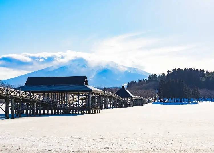 Photo: LIVE JAPAN article a3000253