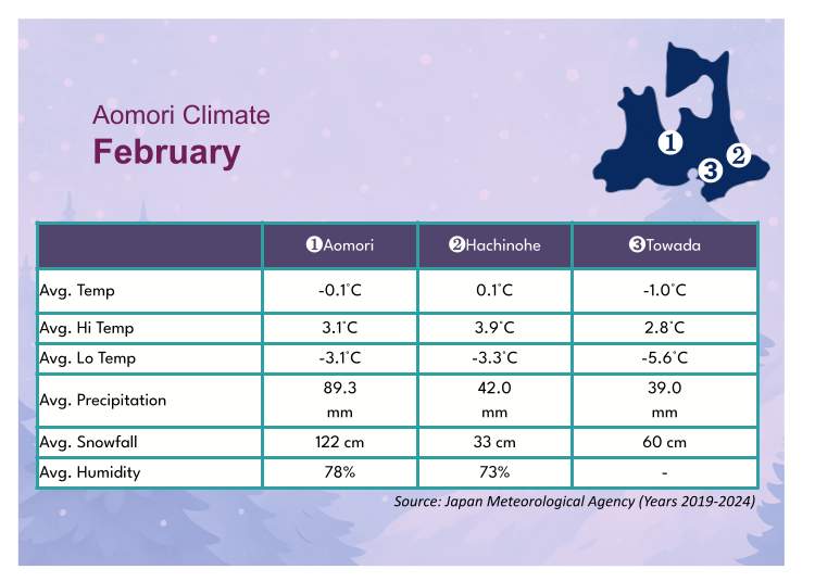 Aomori’s February Weather: Steady Snowfall Across the Region