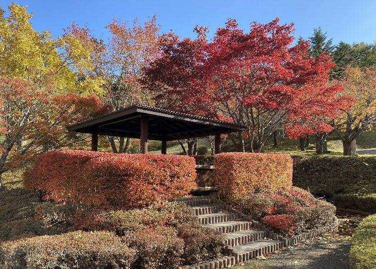 3. Hachinohe Park Children's World