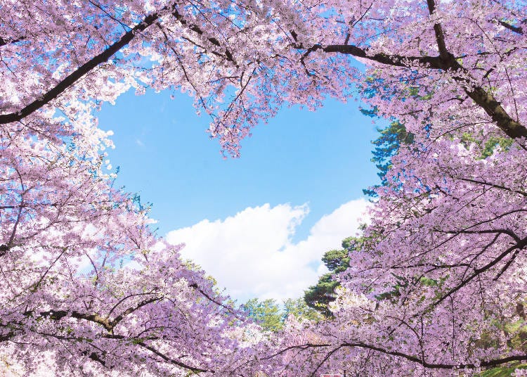 (Photo source: LIVE JAPAN article #a3000296)