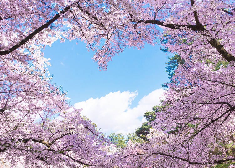 (사진출처: LIVE JAPAN article #a3000296)