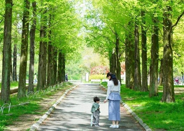 2026年青森縣夏季6月、7月、8月天氣懶人包＋在日小編的穿搭建議