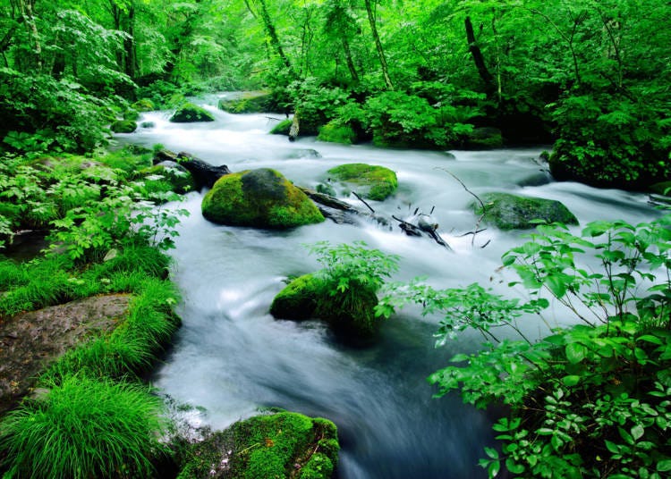 照片來源：LIVE JAPAN站內文章a3000008