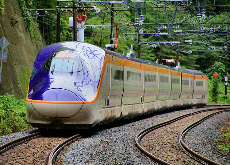 Image courtesy of PIXTA