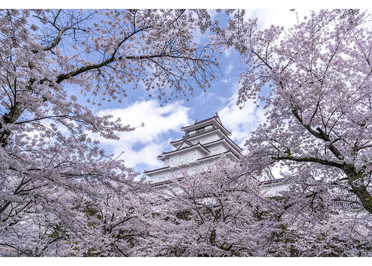 Explore Samurai City Aizu-Wakamatsu: Your Full Guide to History, Nature, and Culture