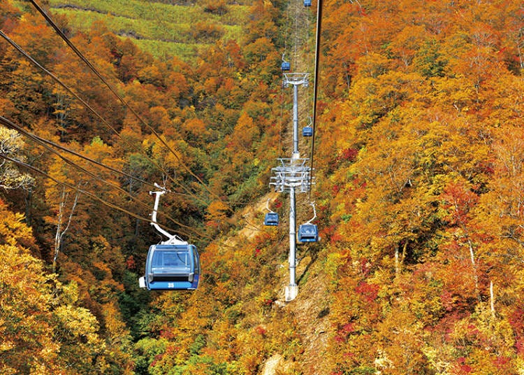 © Niigata Prefecture Tourism Association