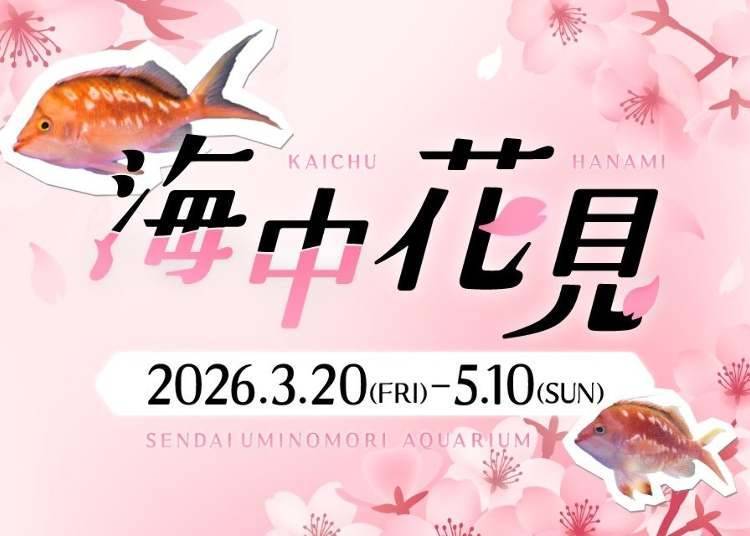 仙台海之森水族館:水中花見