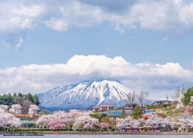 Things to Do in Morioka in Spring (March/April/May): Events, Festivals & More
