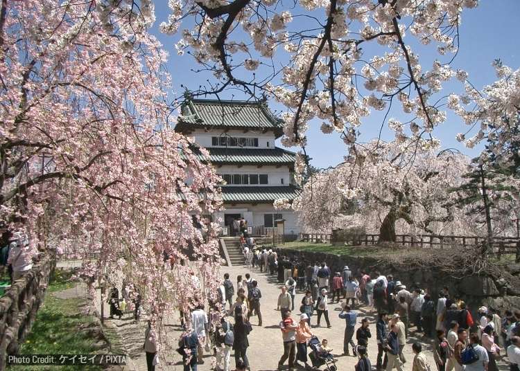 Fun Things to Do in Aomori in Spring (March/April/May) - Events, Festivals & More