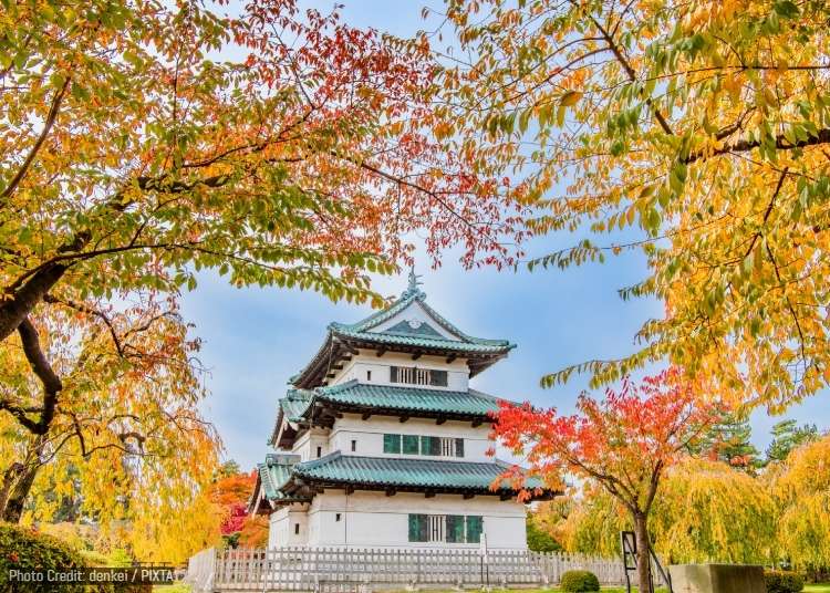 Fun Things to Do in Aomori in Fall (September/October/November): Events, Festivals & More!
