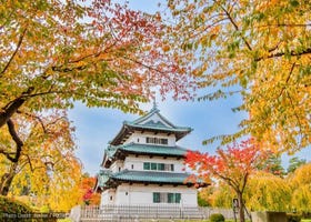 Fun Things to Do in Aomori in Fall (September/October/November): Events, Festivals & More!