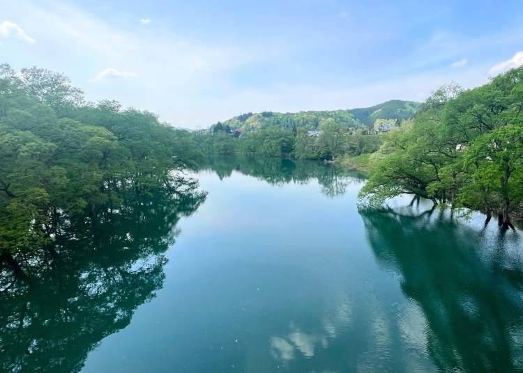 1. 在燒地台公園欣賞全景