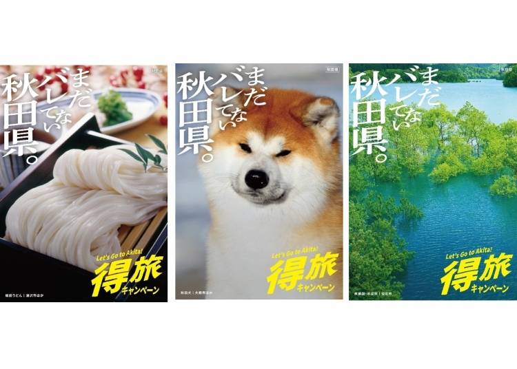 How Can I Enjoy Summer in Akita?