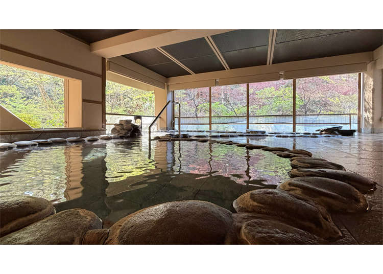 Japan's New Hot Spring Hotel Lets You 'Sleep Like a Sea Lion' Before Feasting on Tuna and Crab