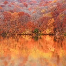 透過Klook預約 ▶ 奧入瀨溪流與白神山地一日包車私人遊
