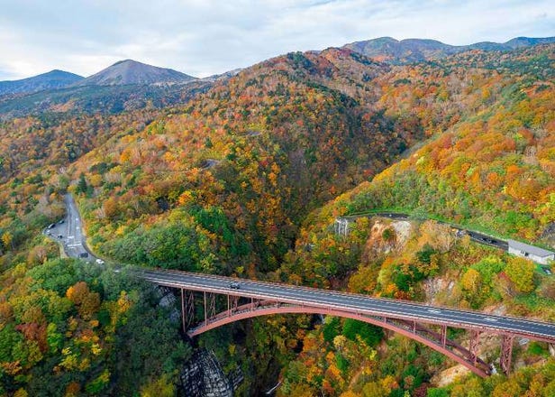 Japan's Famous Autumn Sky Road Is About to Glow With Color - Here's How to Enjoy It