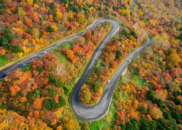 磐梯吾妻天空公路一景。(照片提供:福島市觀光會議協會)