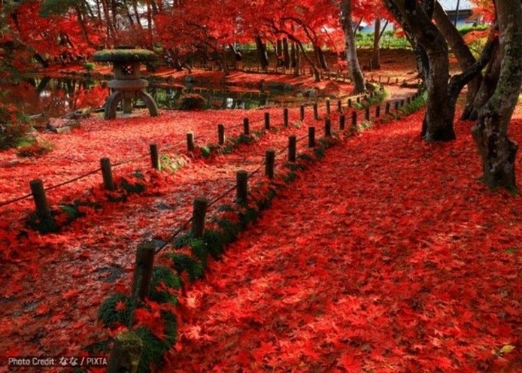 15 Best Places to See Autumn Leaves in Iwate: Gorgeous Foliage, Gorges & Mountain Drives