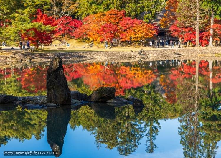 3. Motsu-ji Temple (毛越寺)