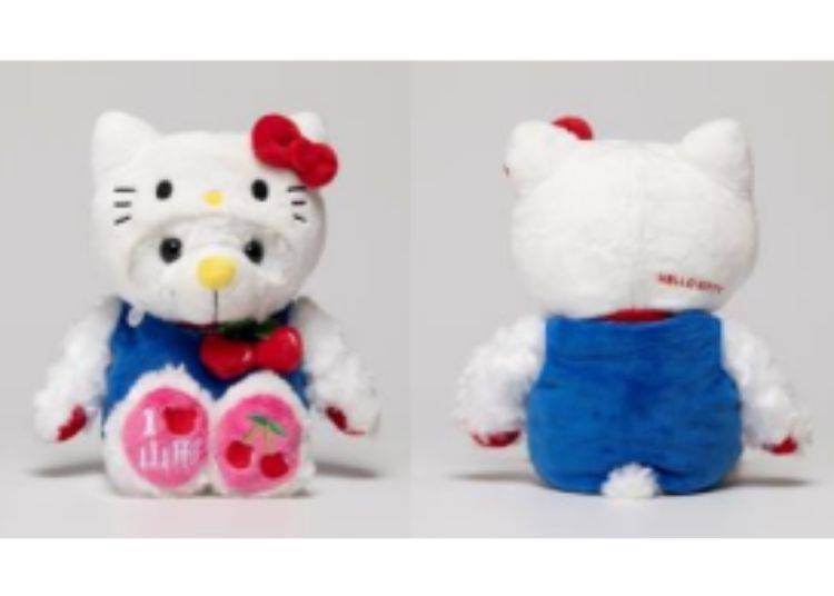 Image source：FUJISEY　&copy; 2026 SANRIO CO., LTD. APPROVAL NO.L670088