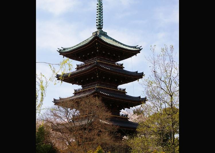 第5名:舊寬永寺五重塔