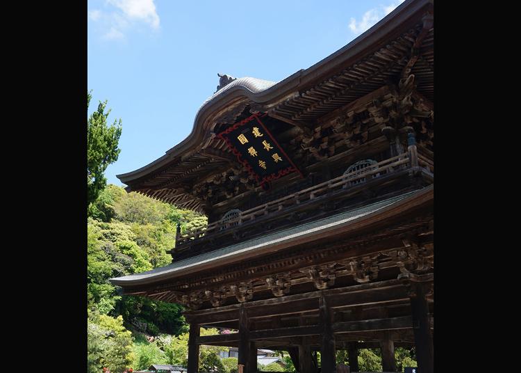 镰仓×寺院 旅日外国游客热门设施排行榜 2019-7