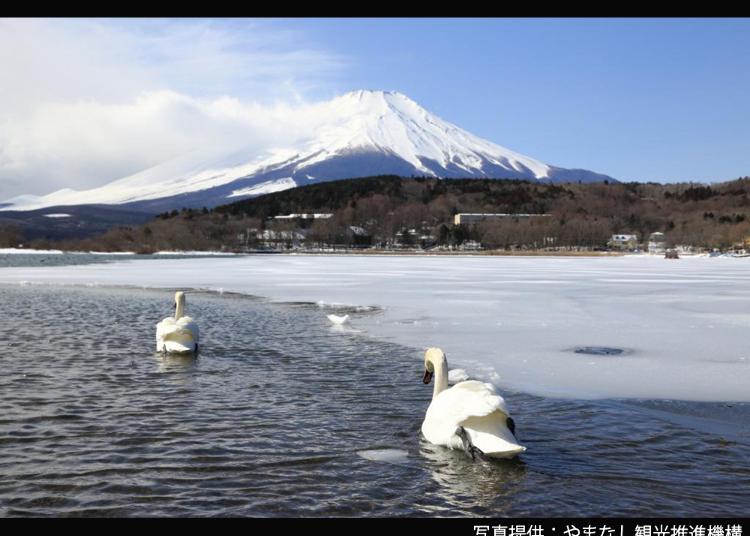 4. Lake Yamanaka