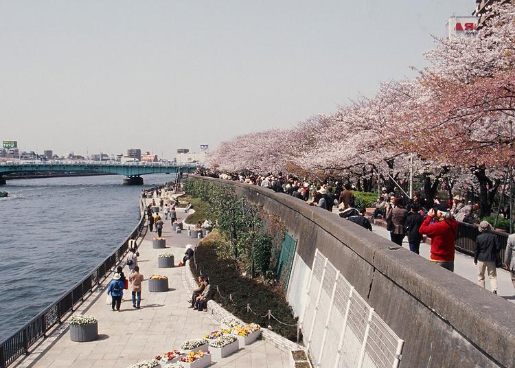 1. Sumida Park