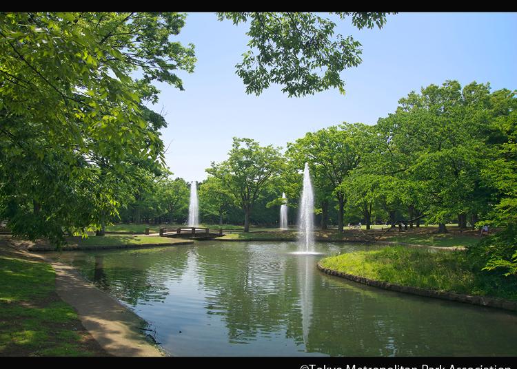 2. Yoyogi Park