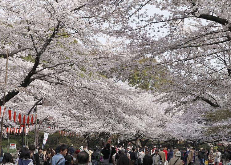 4. Ueno Park