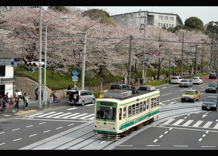 9. Asukayama Park