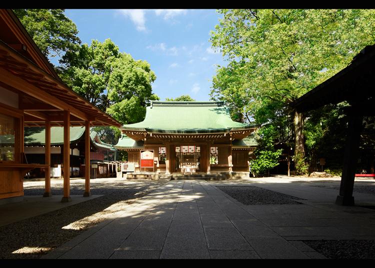 9. Kawagoehikawa Shrine