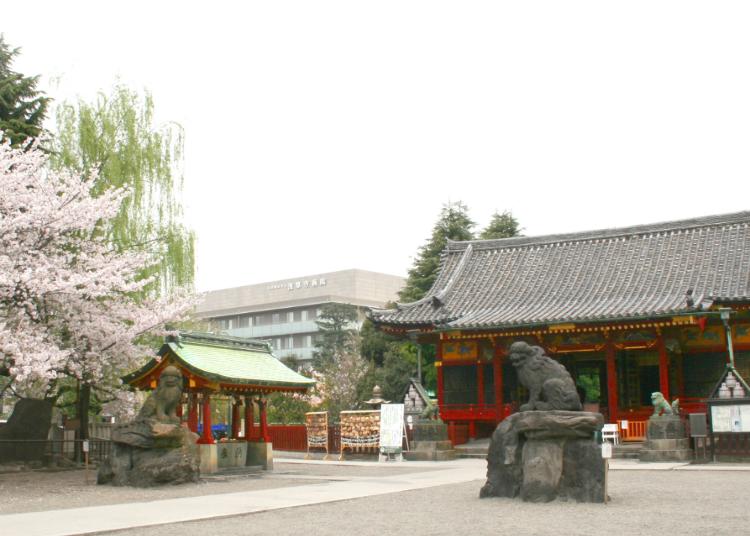 10. Asakusa Shrine