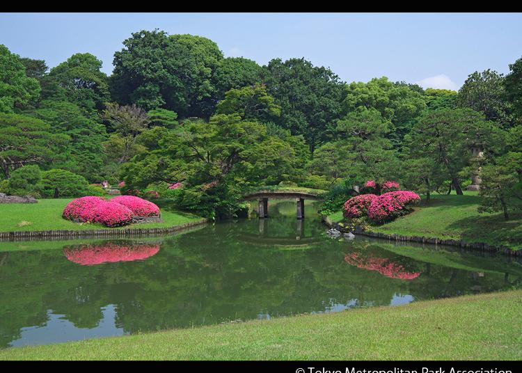 3.Rikugien Gardens