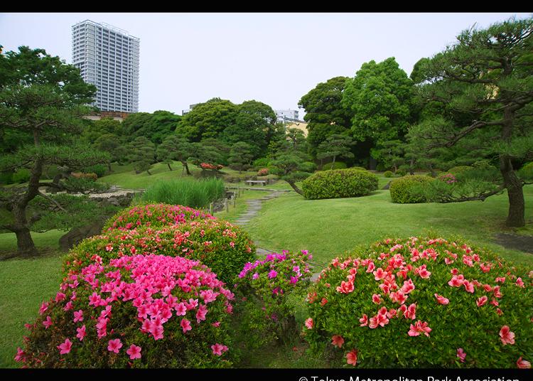 7.Kyu Shiba Rikyu Garden