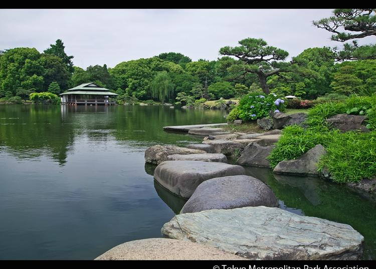 9.Kiyosumi Gardens