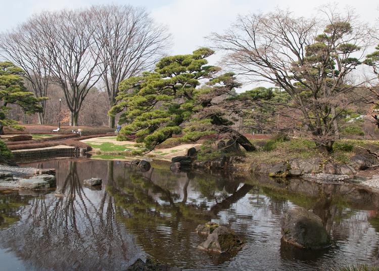 10.Ninomaru Garden