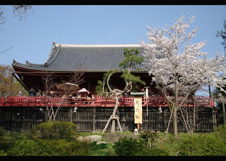 9.Kiyomizu Kannon-do Temple