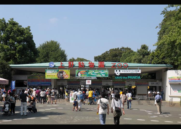 2. Ueno Zoo (Ueno Zoological Gardens)