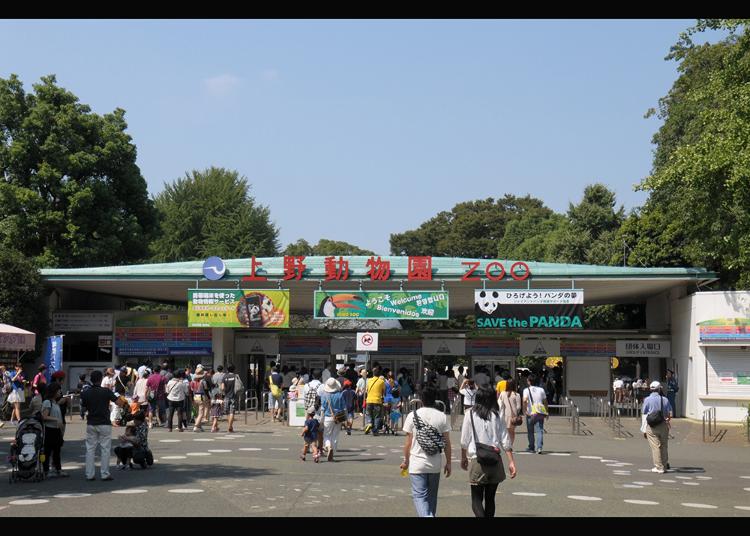 2.Ueno Zoo (Ueno Zoological Gardens)