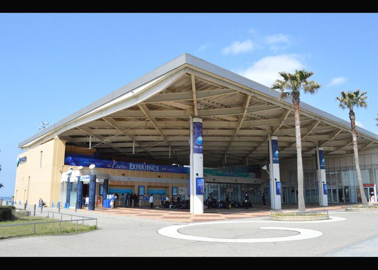 3. Enoshima Aquarium