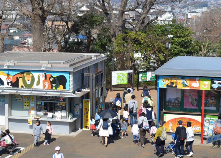 7.Nogeyama Zoo