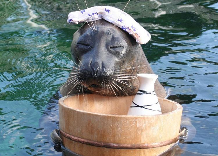 8. Hakone-en Aquarium